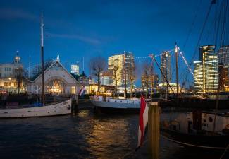 Afbeelding 8 april 2021 - Webinar 'Het brein'