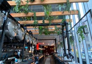 Afbeelding 17 juli 2025 - Netwerkborrel M&A aan de Maas