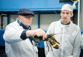 Afbeelding 20 maart 2019 - Schmidt Zeevis